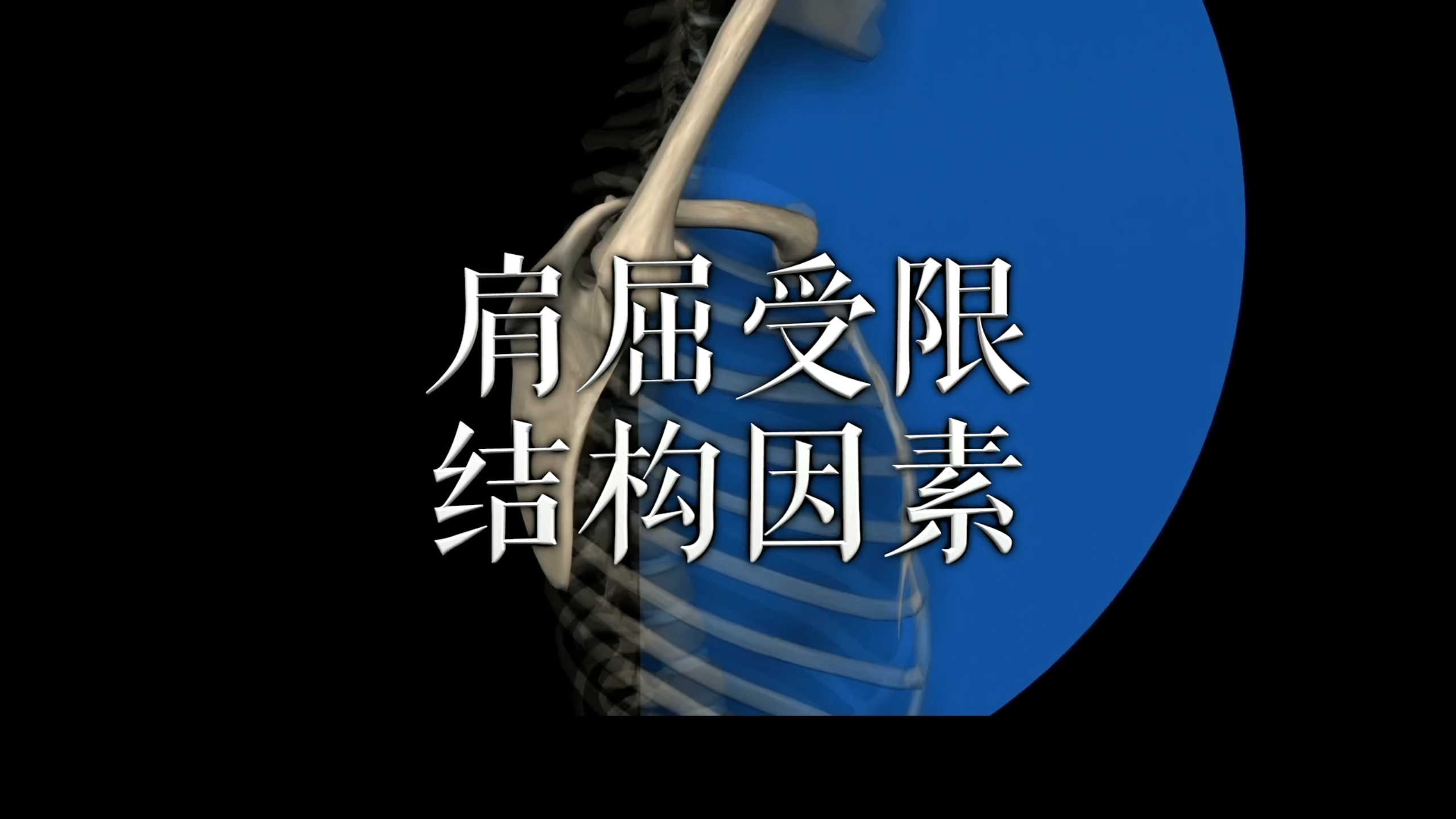肌肉动作解剖|肩屈受限 结构因素