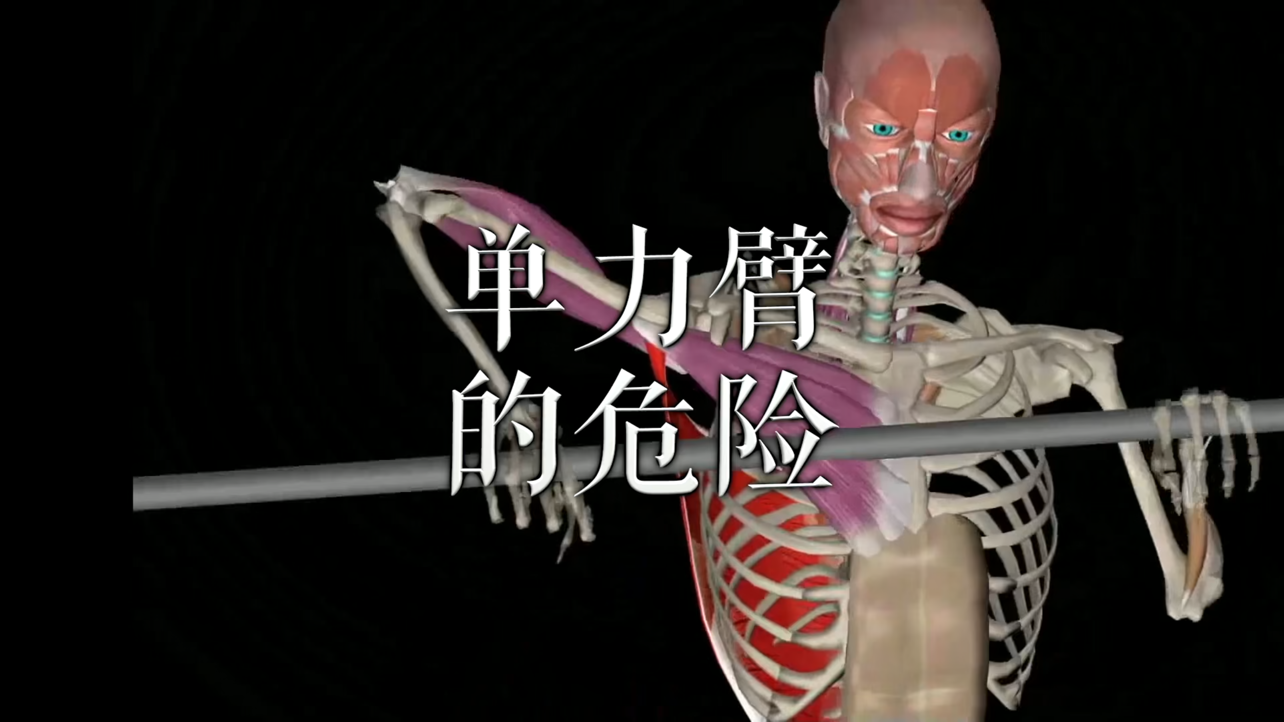 肌肉动作解剖|单力臂的危险
