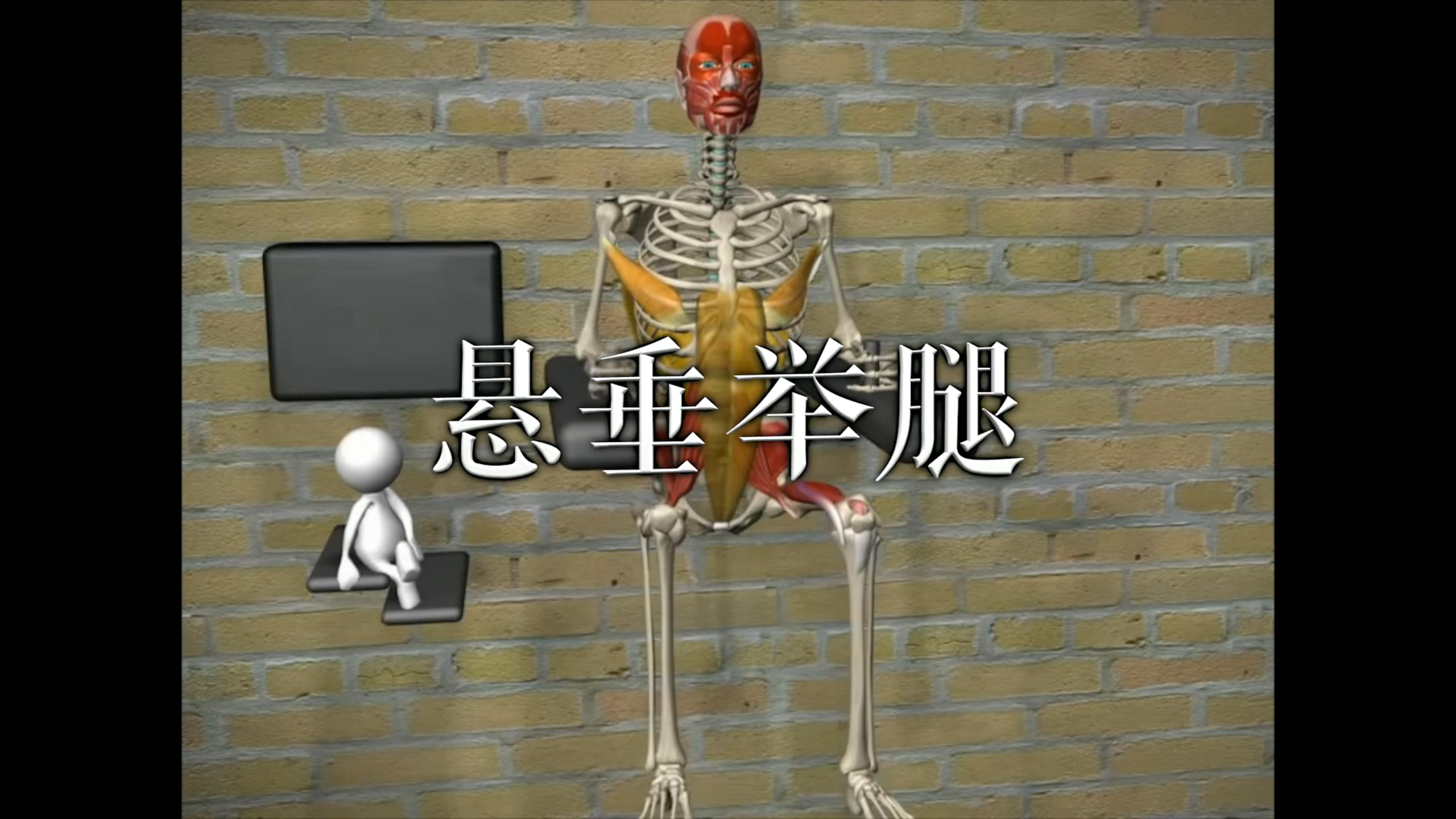 肌肉动作解剖|悬垂举腿