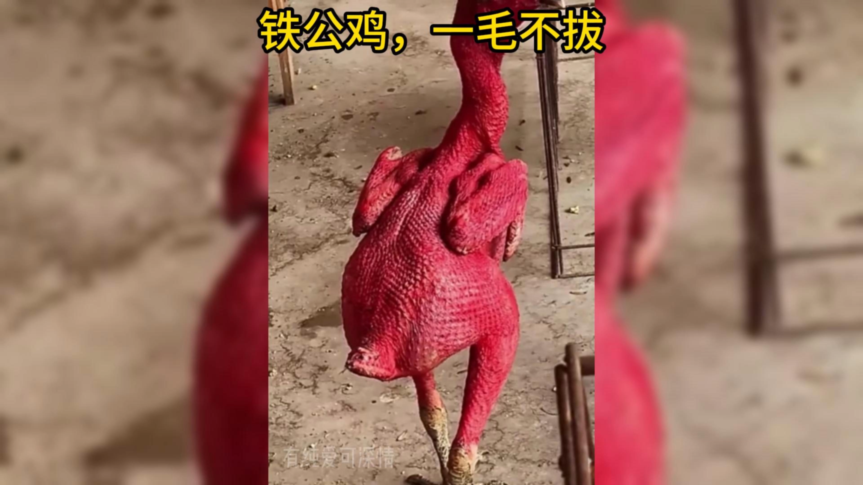 那些能让你笑喷的搞笑瞬间,专治各种不开心