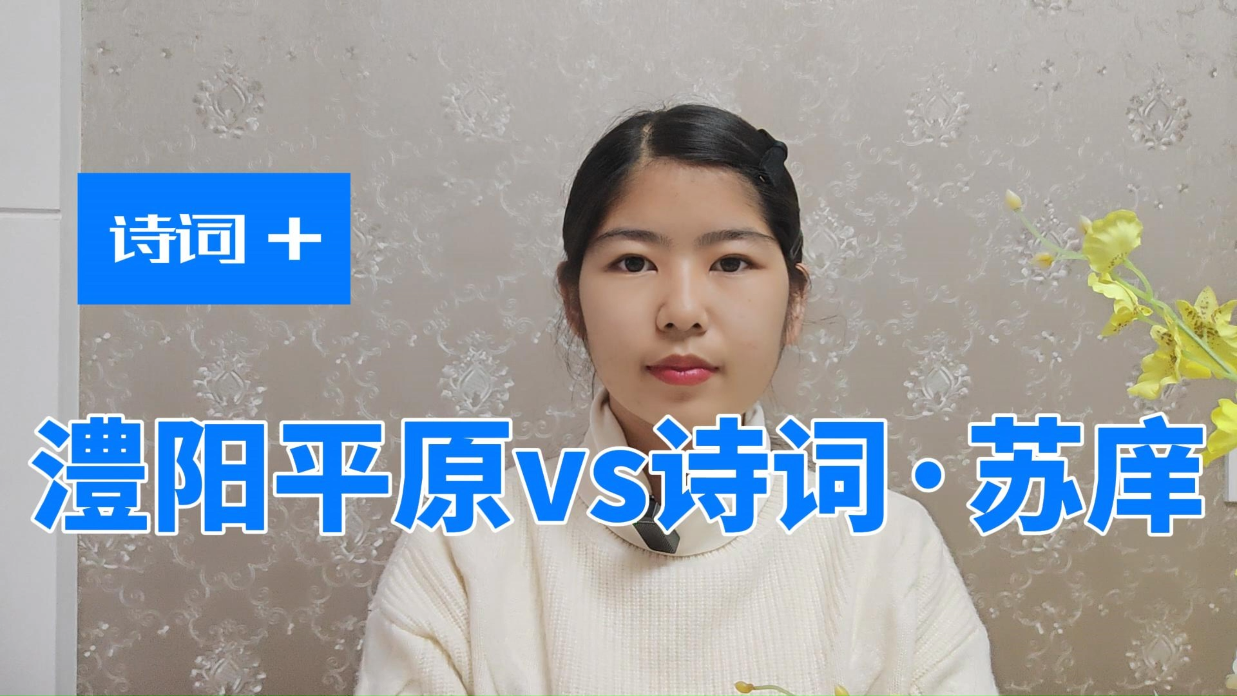 【历史诗词】4.2诗词vs澧阳平原·苏庠