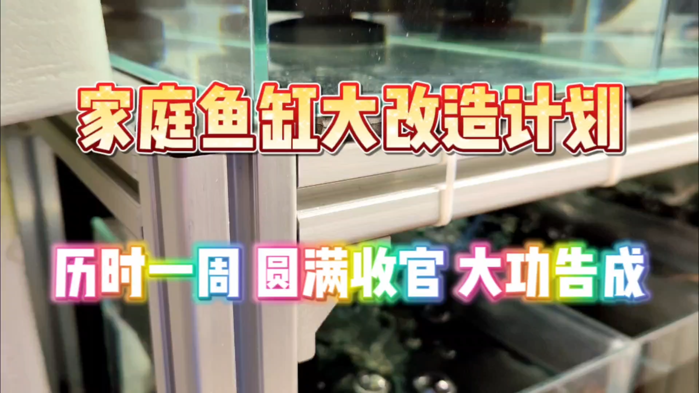 家庭鱼缸大改造计划!历时一周,圆满成功!