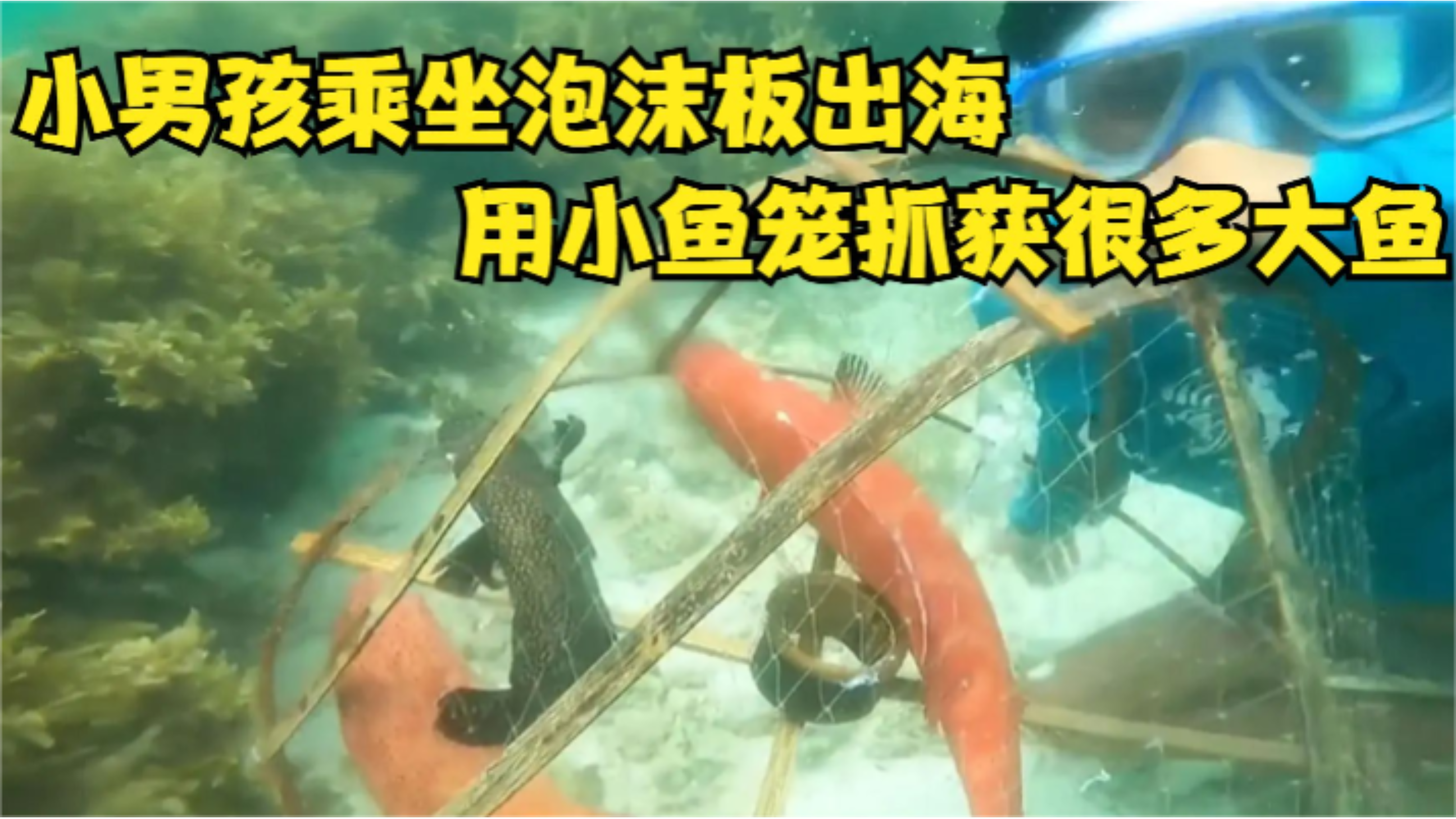 小男孩出海捕鱼用泡沫板当作渔船,用小鱼笼当作工具,能捕到鱼么