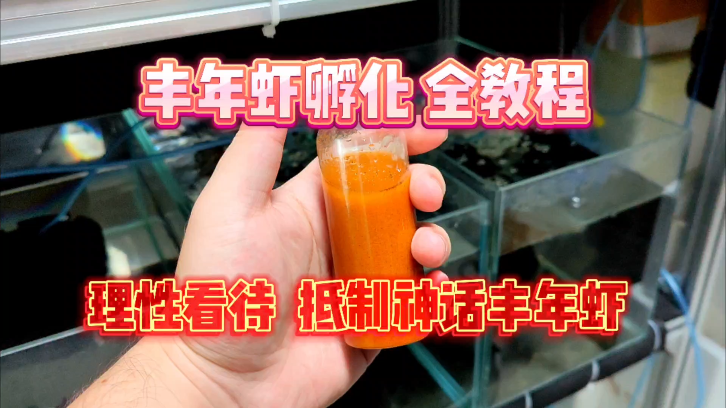 丰年虾孵化教程,在家孵化很方便!理性看待,抵制神话丰年虾!