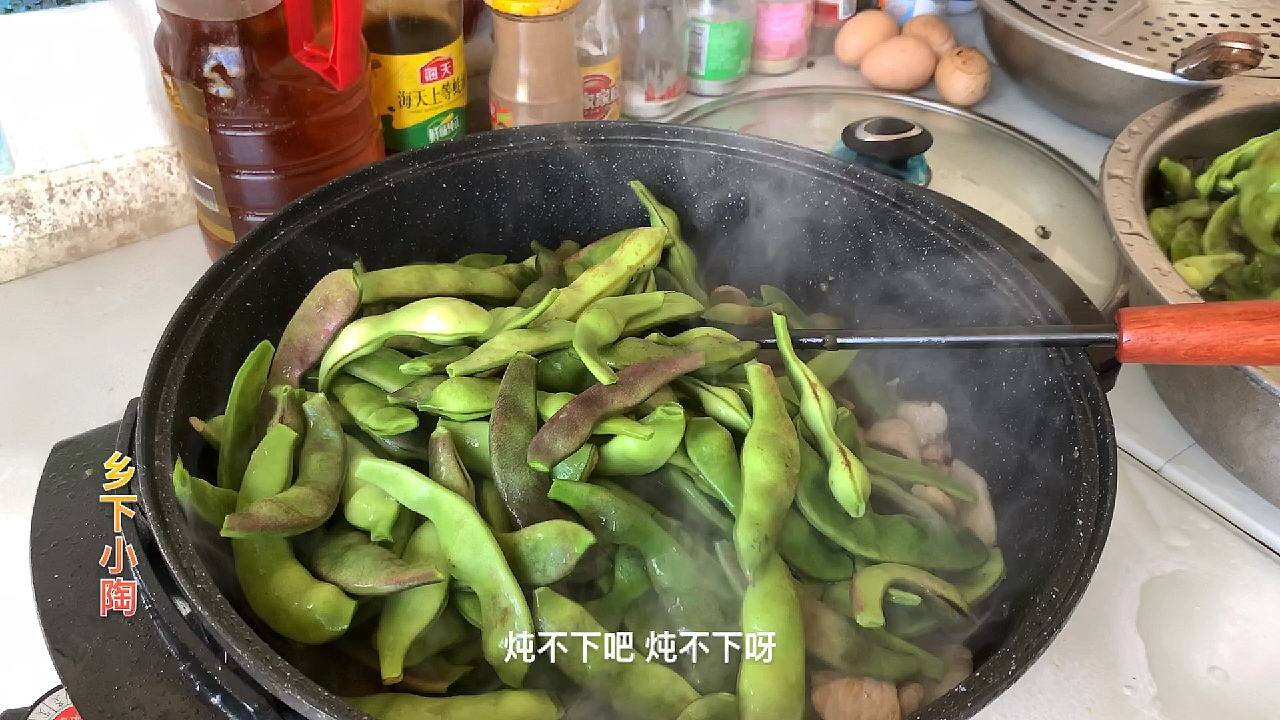 东北特色菜“猪肉炖豆角”,农家菜好吃又下饭,两盘豆角都吃光!