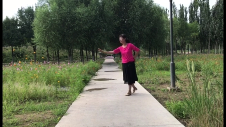 微菊广场舞,下辈子遇见你