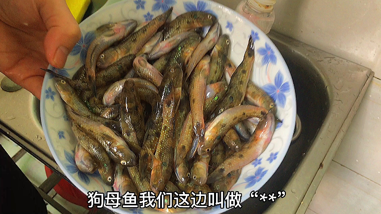 15块买了半斤“狗母鱼”,用广东潮汕海边做法,鱼肉鲜嫩无腥味