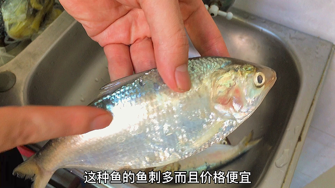 花9块买四条不知名的海鱼,用潮汕特色做法,鲜香不腥鱼骨酥脆