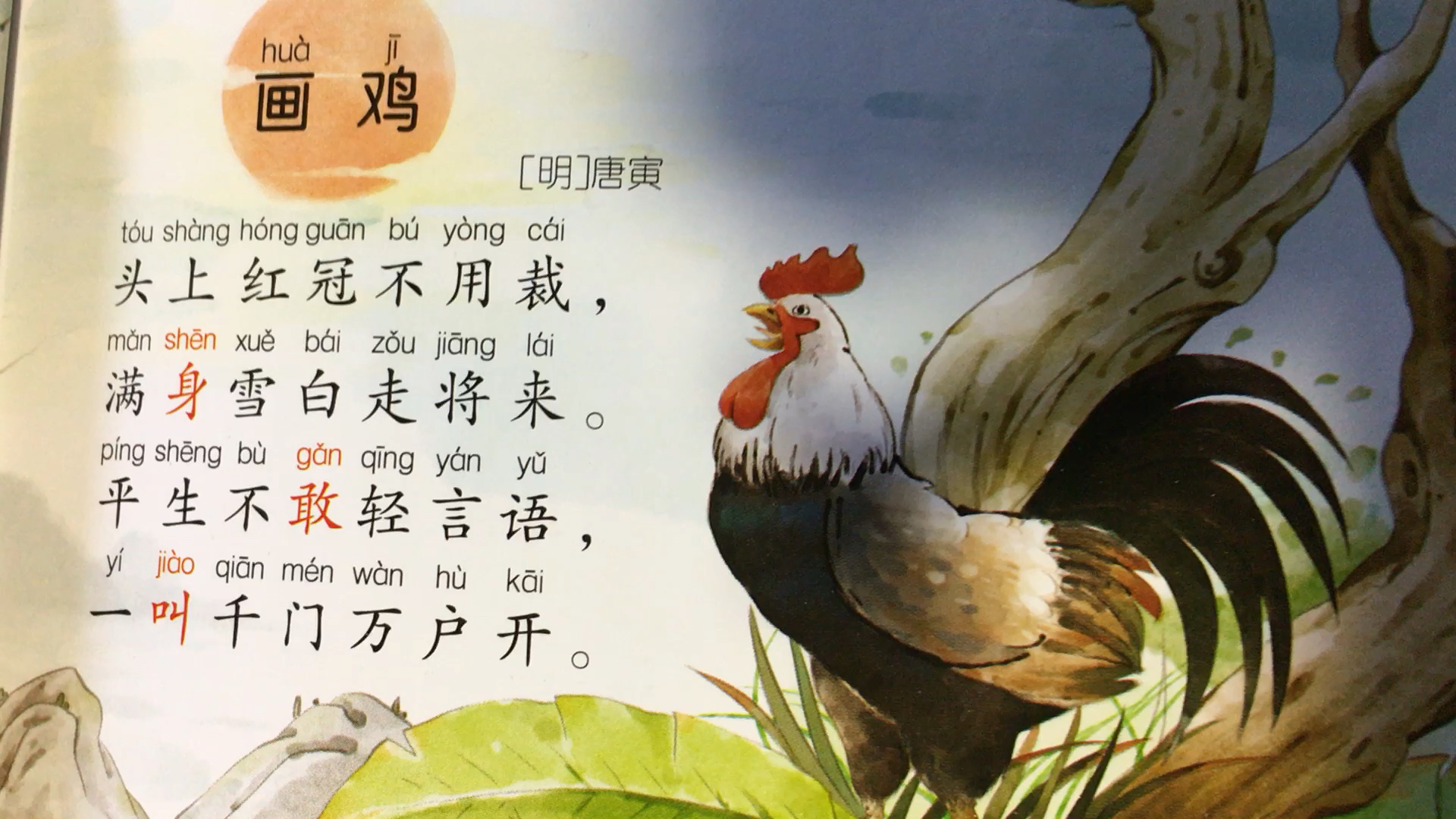 dora弹演读古诗唐寅《画鸡》,她演公鸡喔喔喔。