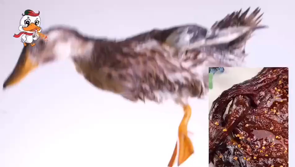 湘都酱板鸭正宗湖南特产好好吃的酱板鸭!!!