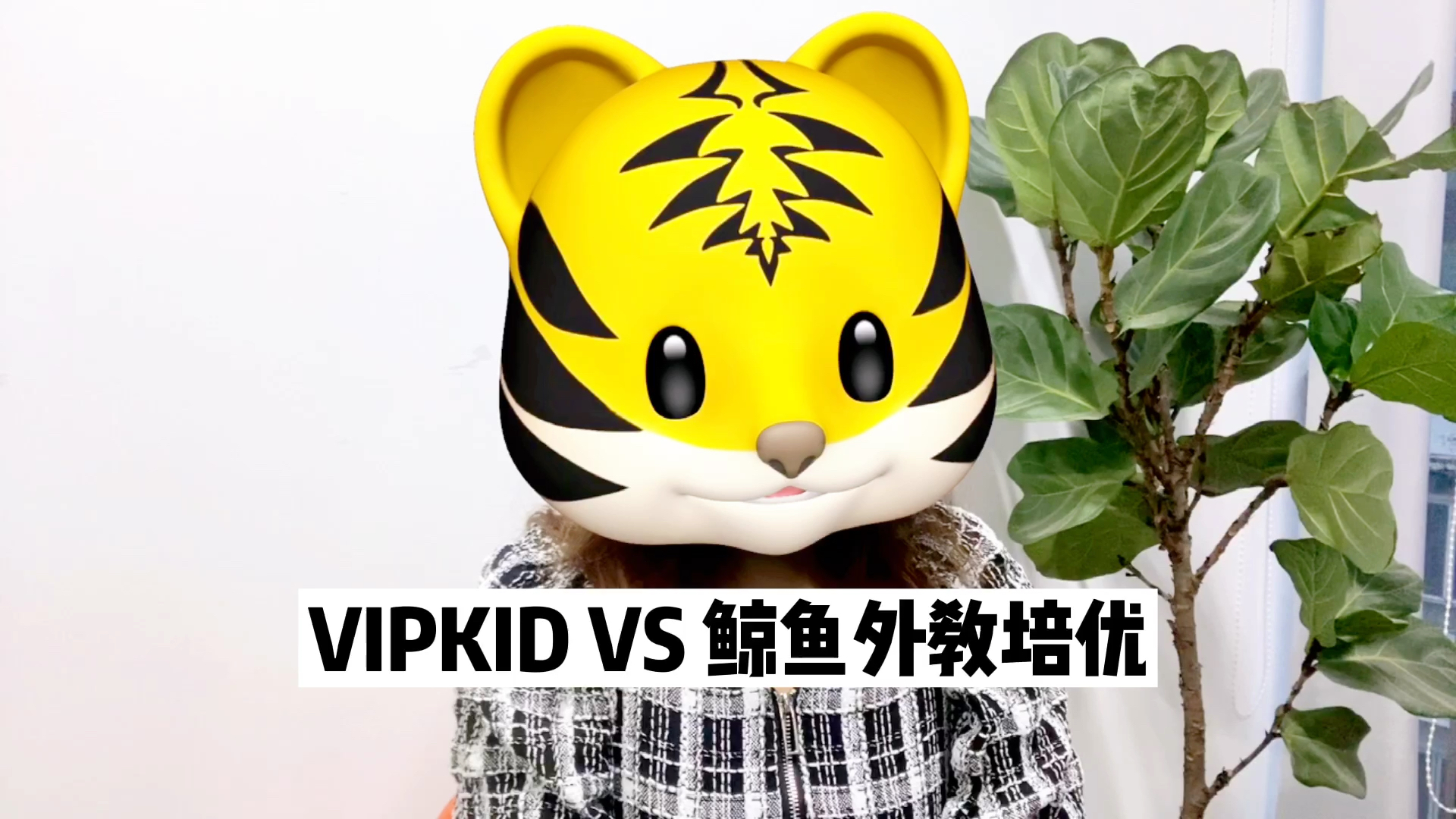 VIPkid和鲸鱼外教培优的学习效果怎么样?听听我的总结