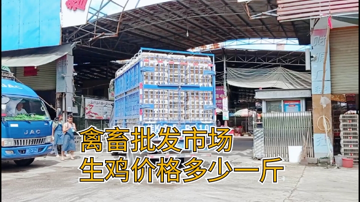 广西玉林北流禽畜批发市场,生鸡卖7块一斤,买一只鸡要花费40块