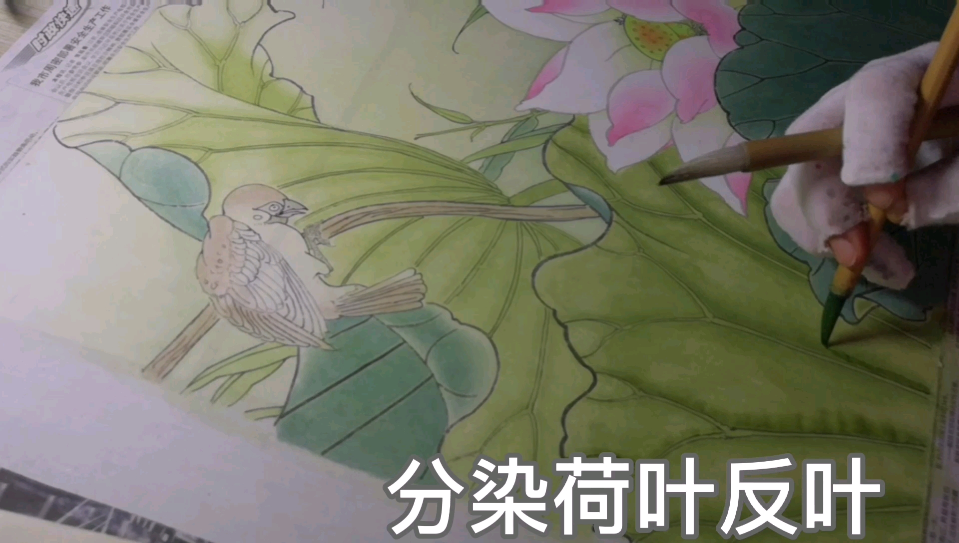 中国工笔画荷花分染
