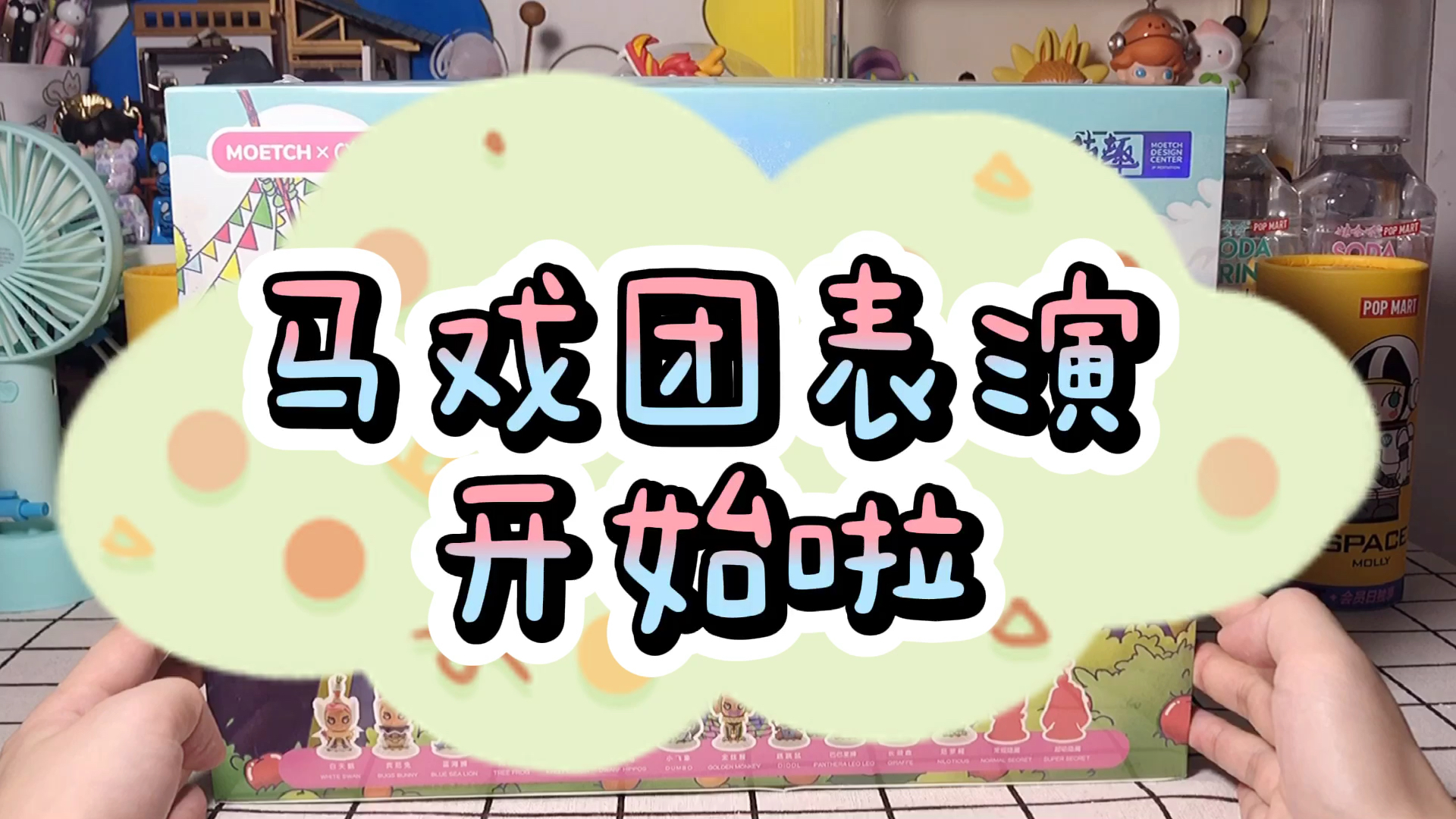 马戏团表演开始啦