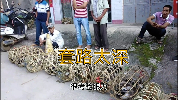中越边境集市交易鱼龙混杂,处处都是坑,让人防不胜防