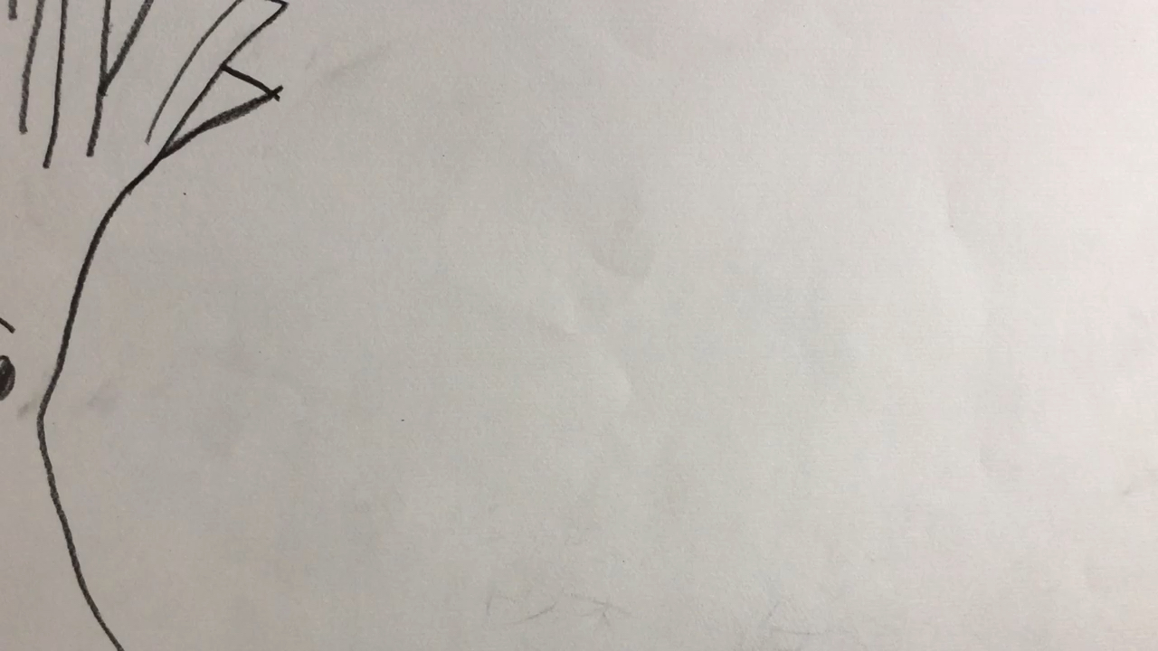 申鑫简笔画——冬瓜