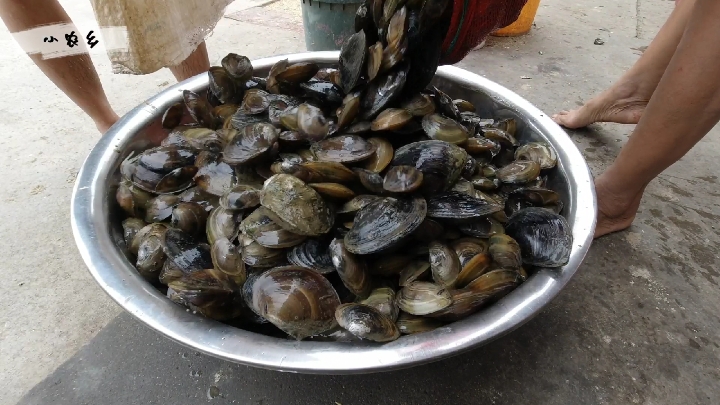 90斤野生河蚌,教你不加一滴水,做出来酸辣下酒,一餐不够吃