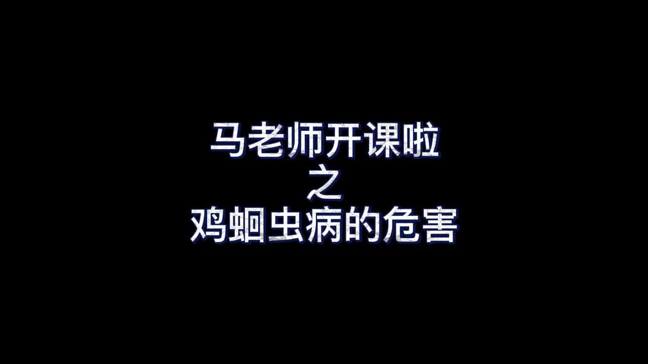 马老师开课啦+鸡蛔虫病的危害