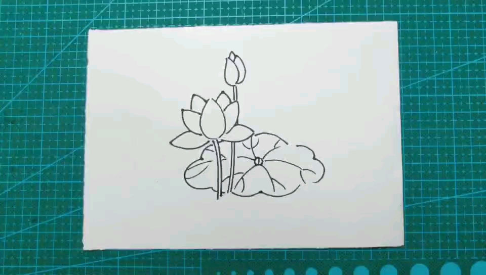 简笔画 好看的莲花