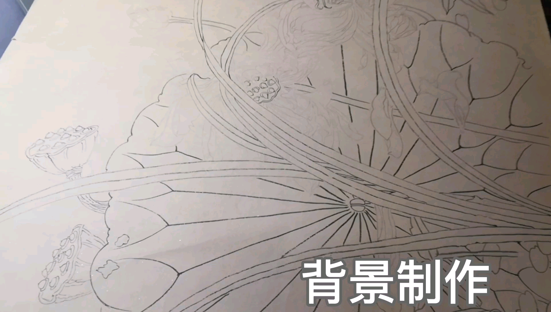 工笔画荷花图背景制作