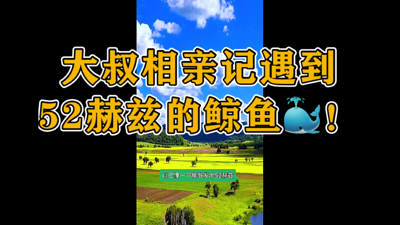 六空大叔相亲遇到52赫兹鲸鱼!何以解忧?鸡腿配酒!