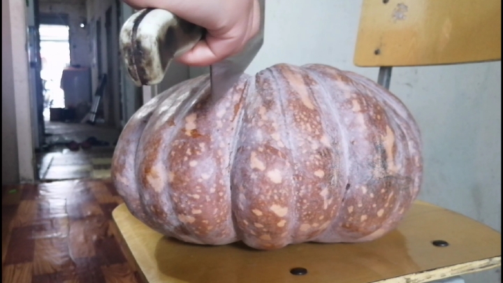 这个大南瓜都赶上儿子的体重了,今天就做个南瓜饼,给儿子补补