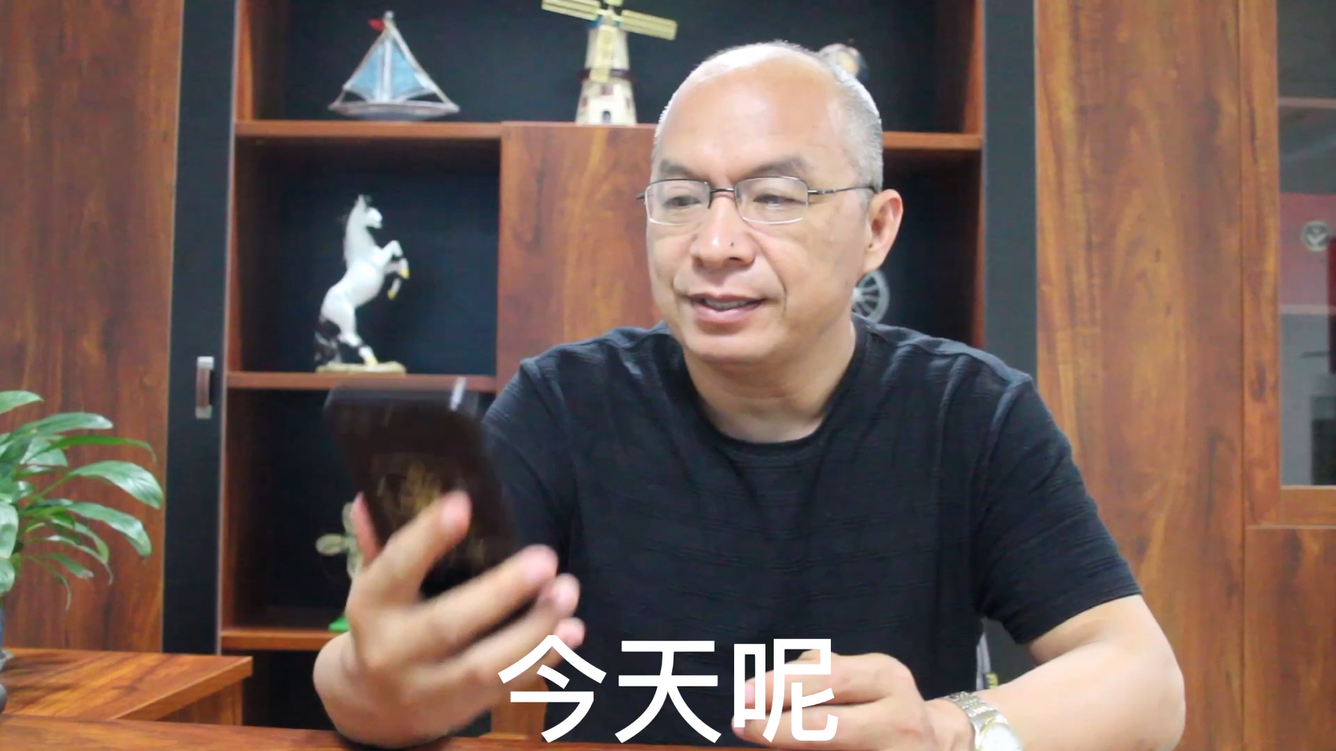 老马讲蛋鸡之鸡支原体