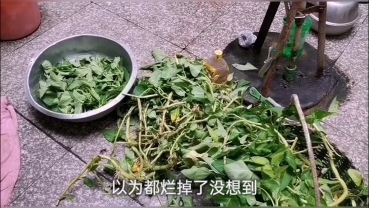 今天小敏做了洋葱炒肉,空心菜,丝瓜紫菜汤,清淡很好吃!