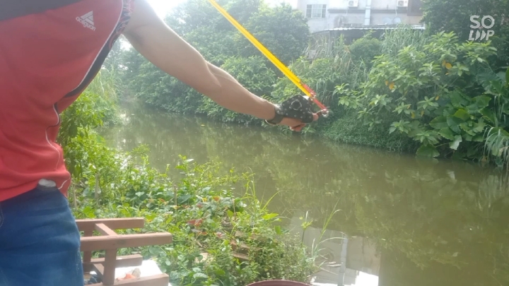 弹弓射鱼,看着都过瘾,大鱼连连上
