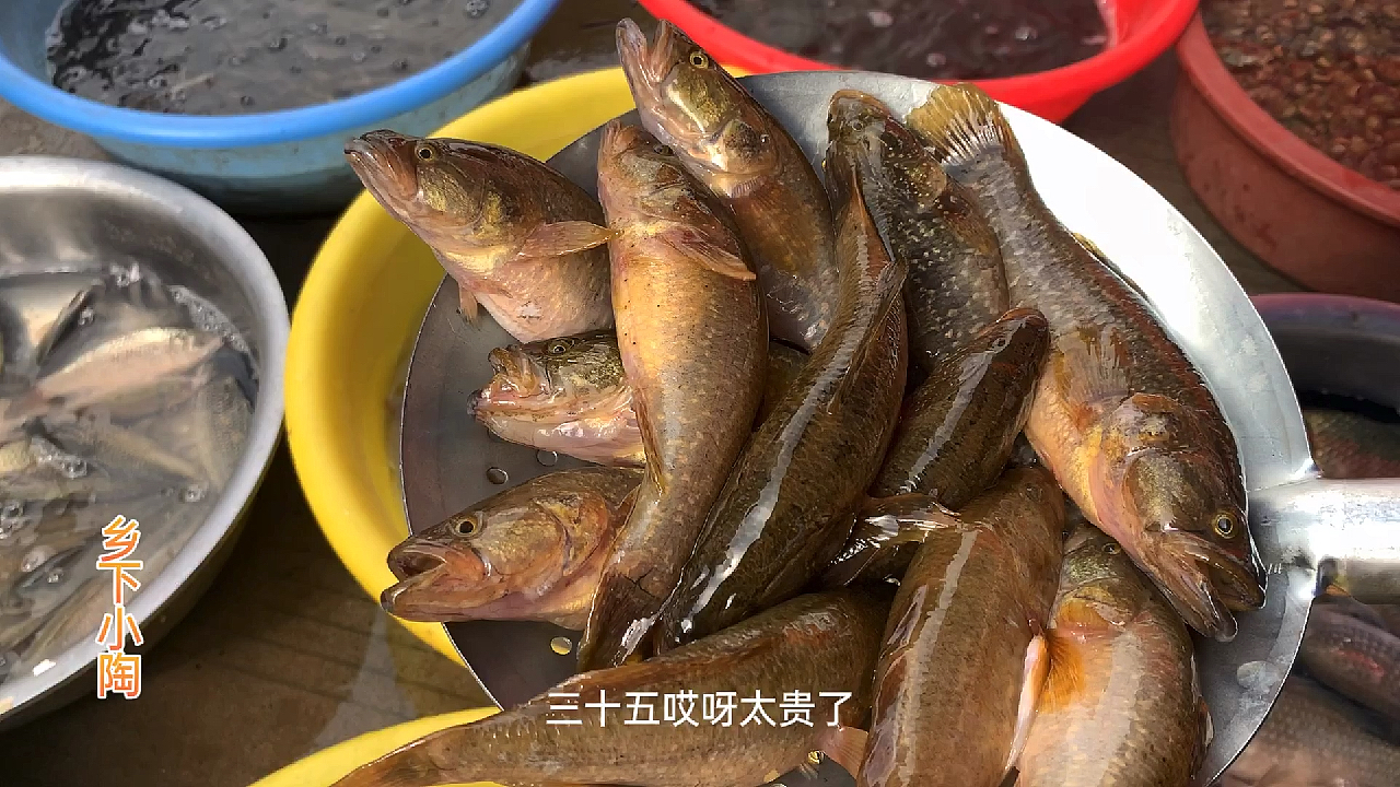东北早市真热闹,大老头35一斤,真是吃不起了!