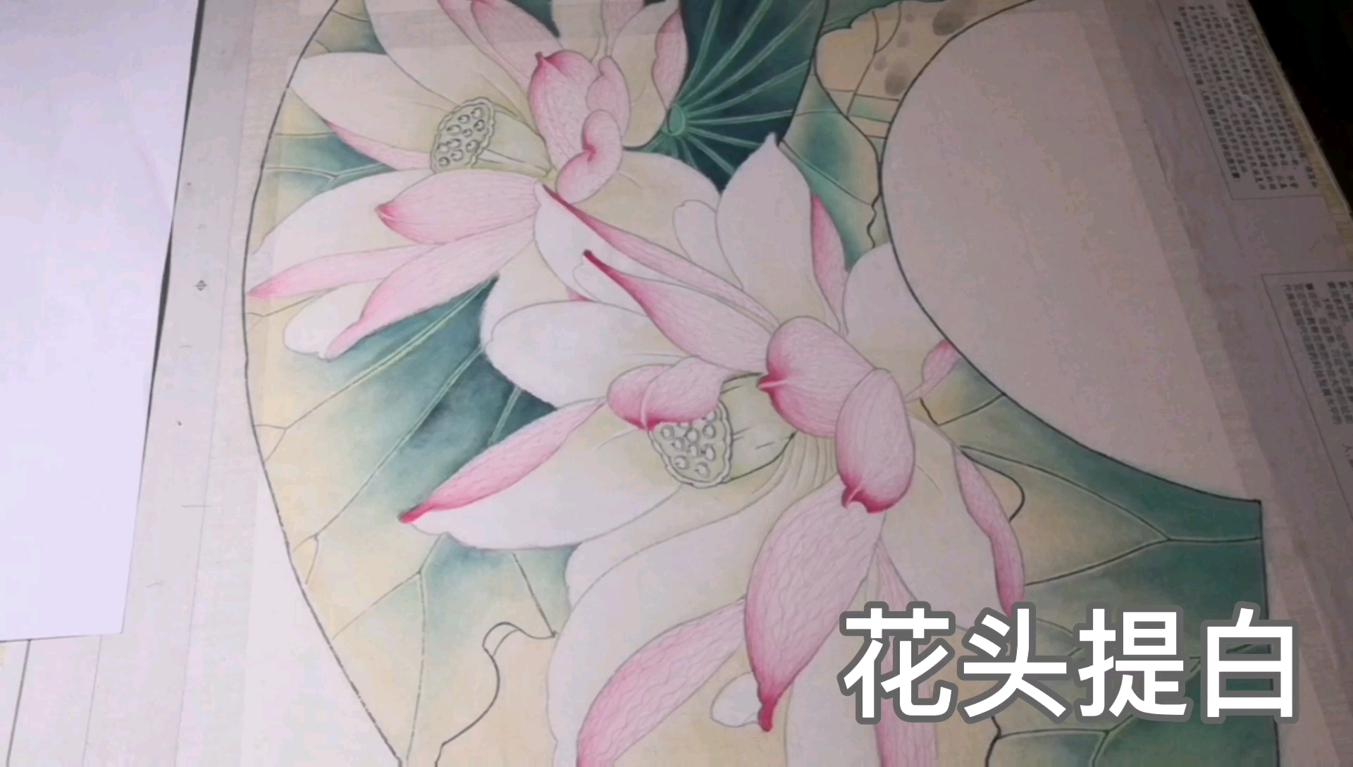 工笔画荷花花头提白