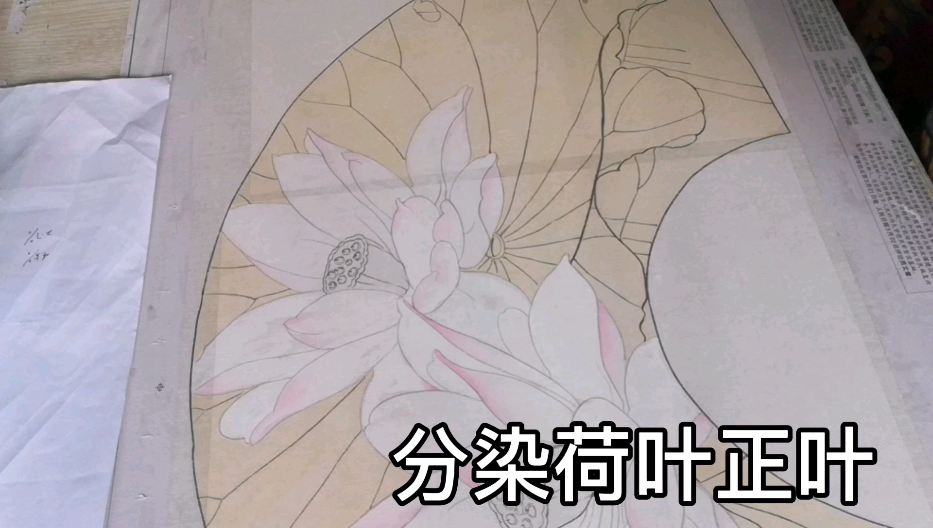 工笔画荷花设色留水线