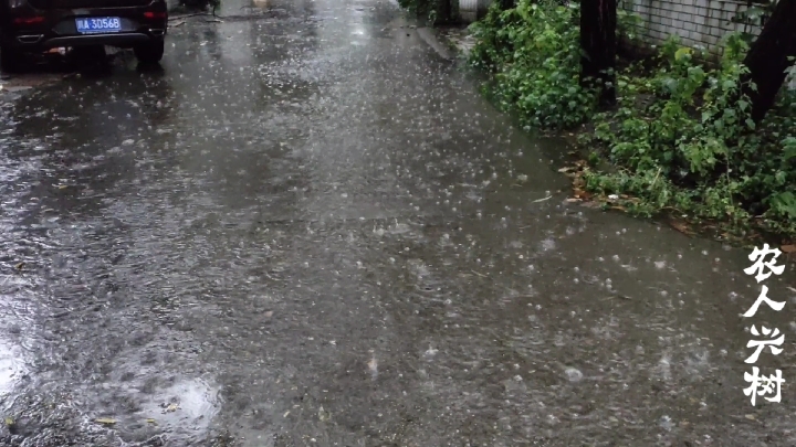 [图]四川成都下大暴雨，没见过这么下雨的，这才是真正的瓢泼大雨