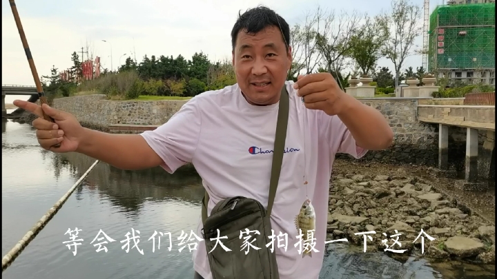 海鲫鱼什么样子呢,山人在湍急的海水退潮中,钓到大半桶海鲫鱼