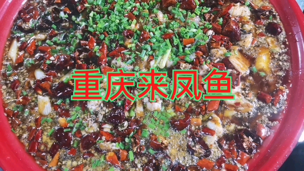 重庆名菜江湖特色菜“来凤鱼”的家常做法,麻辣爽口,鱼肉鲜。