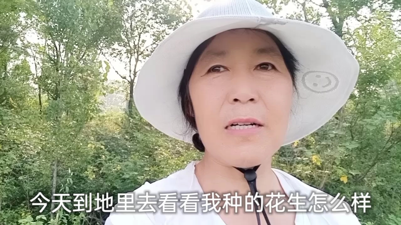 全玉去地里看花生长的怎么样,看到邻居的地,万万没想到