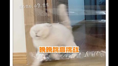 刘涛同学和晚晚