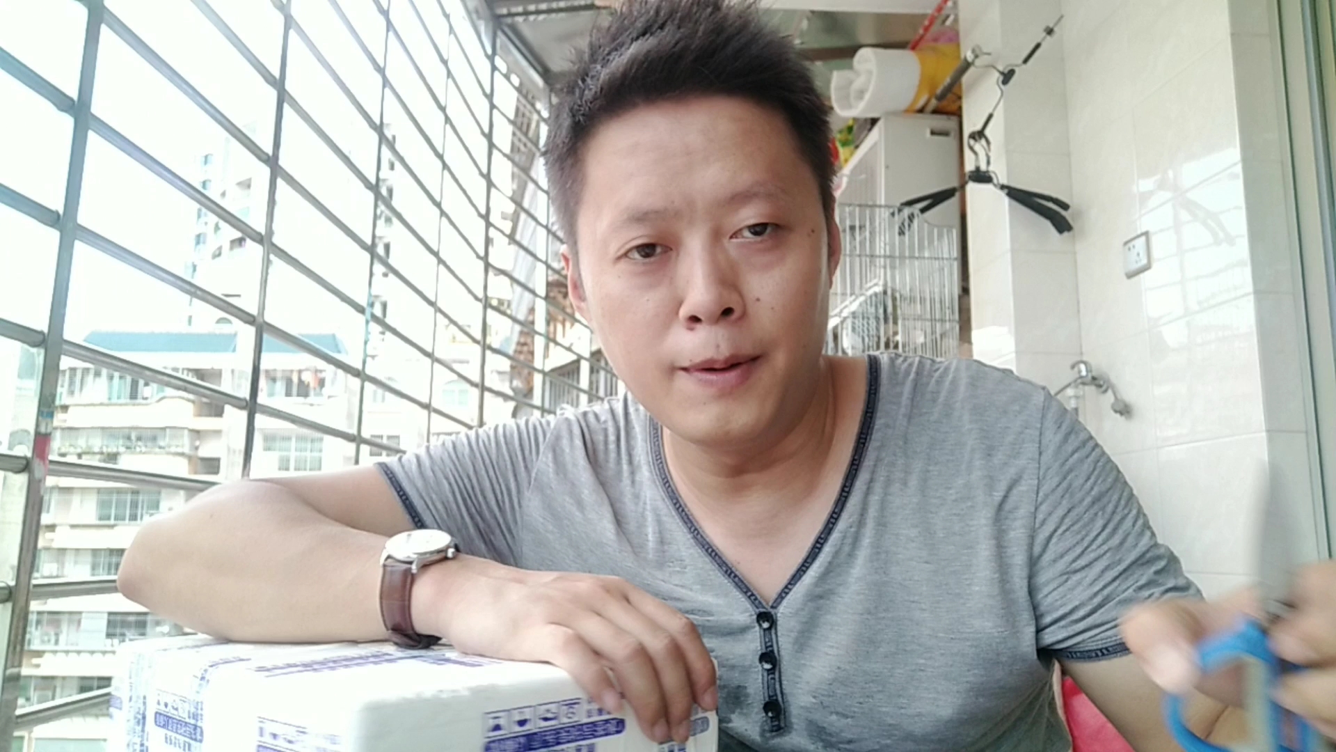 热带鱼之黑魔神雷龙,尝试跟小型灯科鱼混养