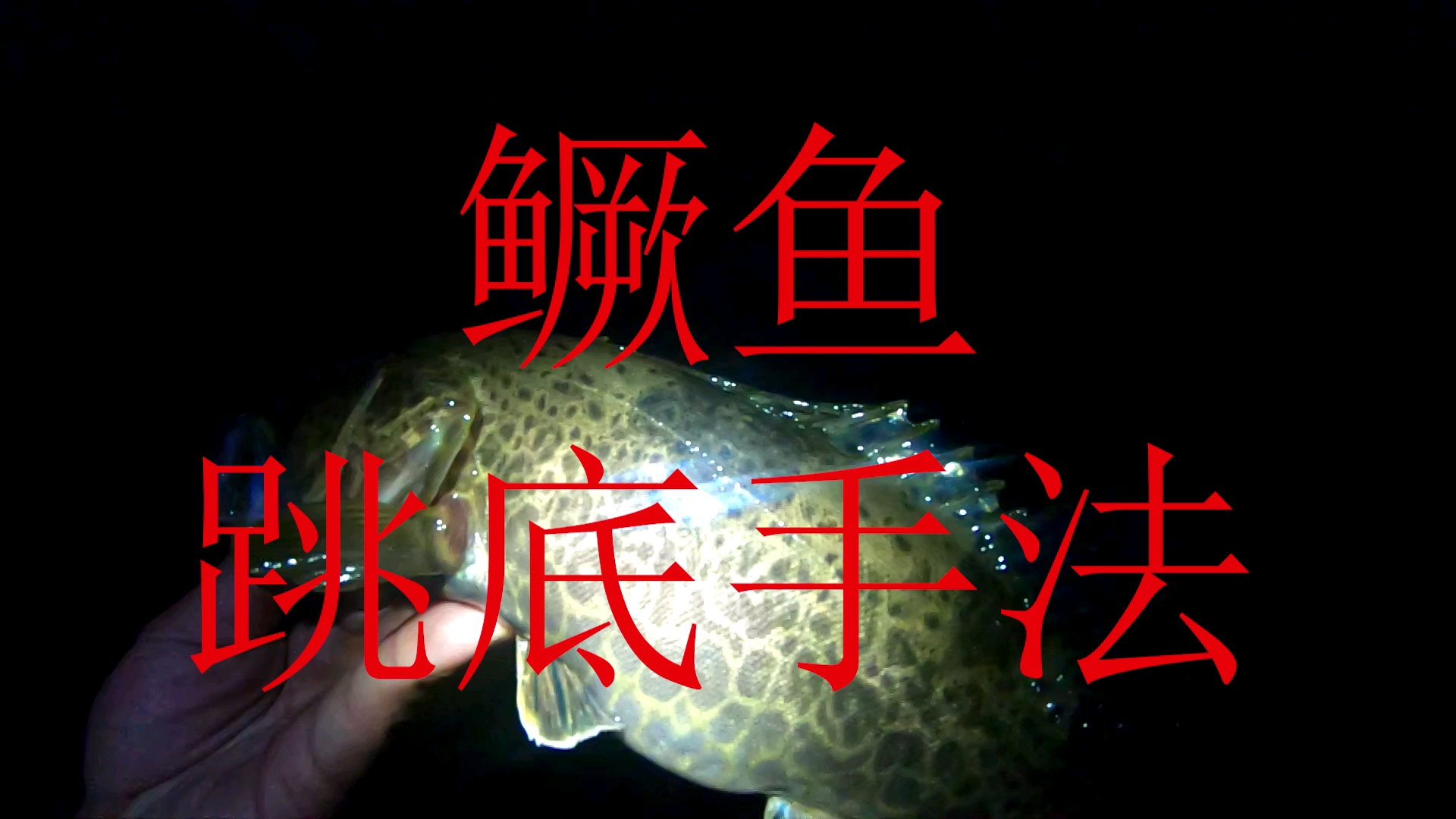 路亚鳜鱼很简单 铅头钩跳底手法 耐心就会中鱼