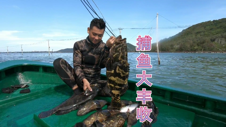 小伙赶海潜水捕鱼,闯进石斑鱼窝,捕获9条大石斑鱼,发财了
