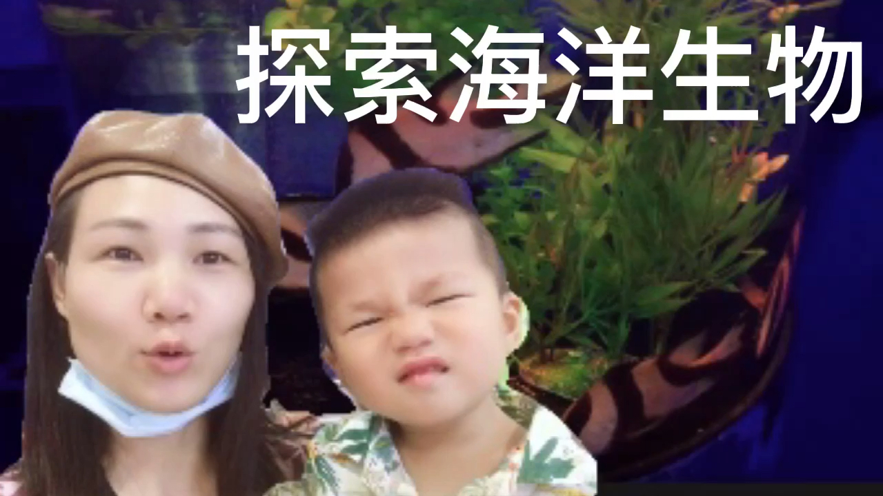 带孩子探索海洋生物,接触新鲜事物,刺激孩子的大脑发育!