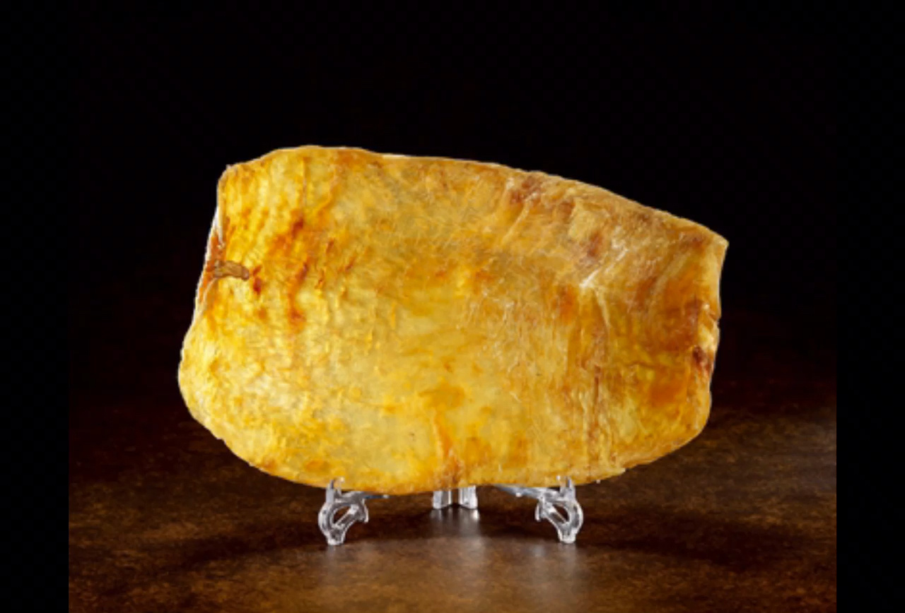 鱼胶多少钱一斤?影响鱼胶价格的因素你都知道吗?