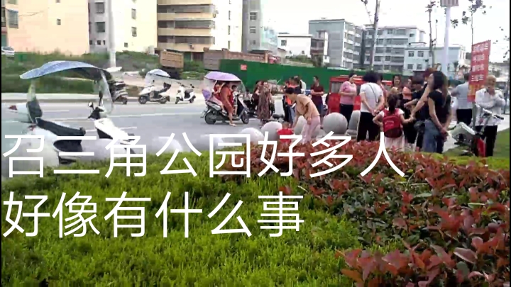 南召三角公园好多石榴树,公园路口聚集好多人,好像有什么事