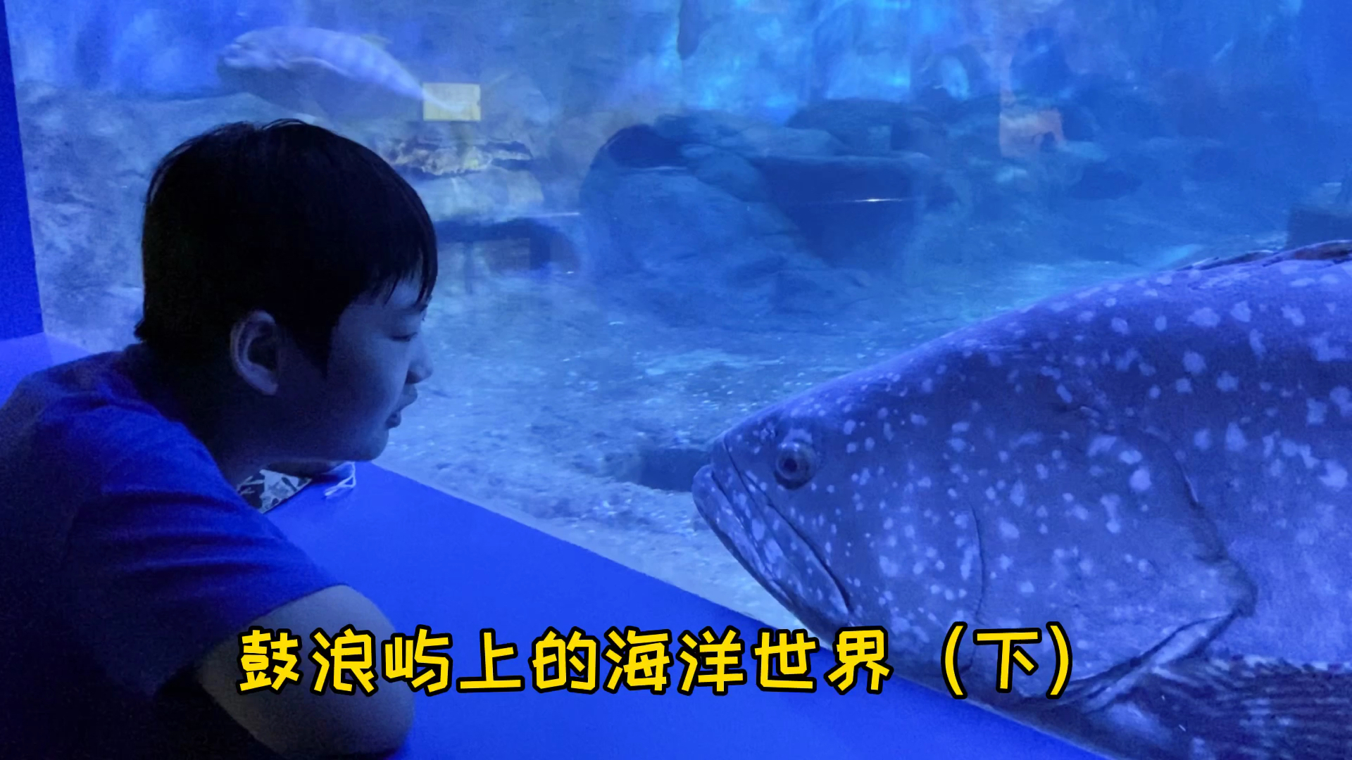 海底世界各种鱼类,纪念品价格不低,墨鱼丸味道还不错