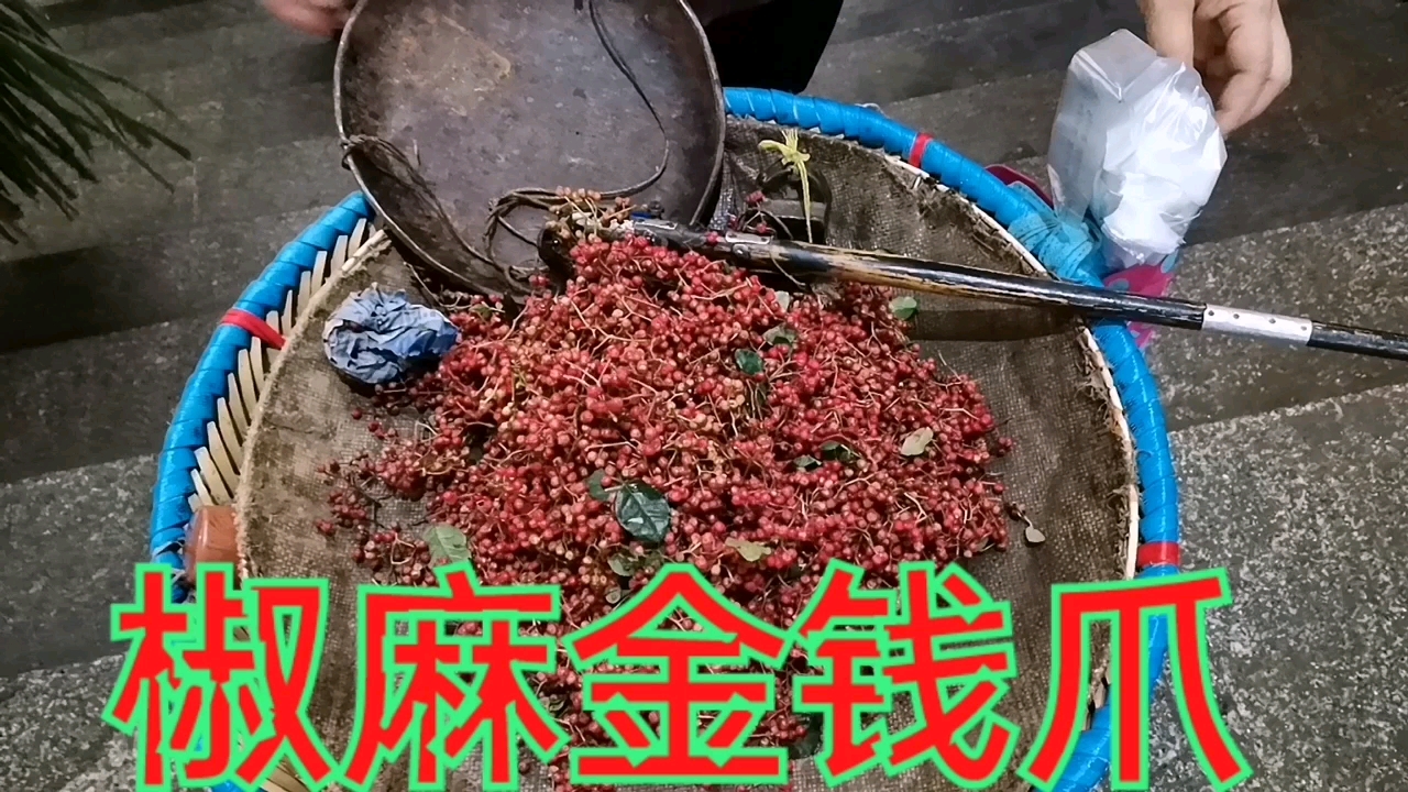 重庆陈师傅分享(凉拌乌鸡瓜)味道安逸,收藏了。