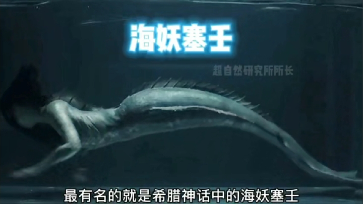 美人鱼居然真的存在!看了之后真的不想和美人鱼谈恋爱了。