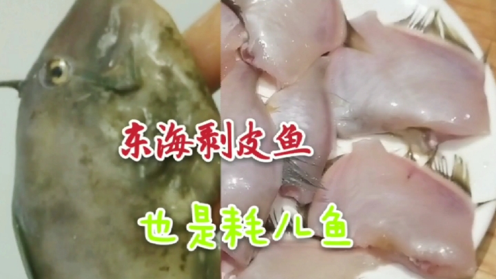 温岭海边剥皮鱼又叫耗儿鱼,是怎样剥皮的?你学会了吗