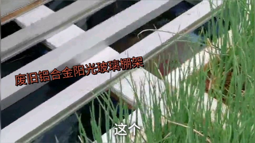 老人利用废旧铝合金搭建的阳光玻璃棚架,蔬菜花卉防晒防冻!