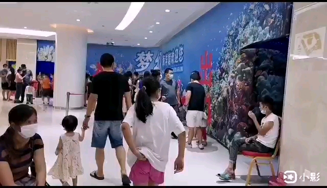 周末带孩子们去海洋馆看水母,还有各种鱼类,可开心了