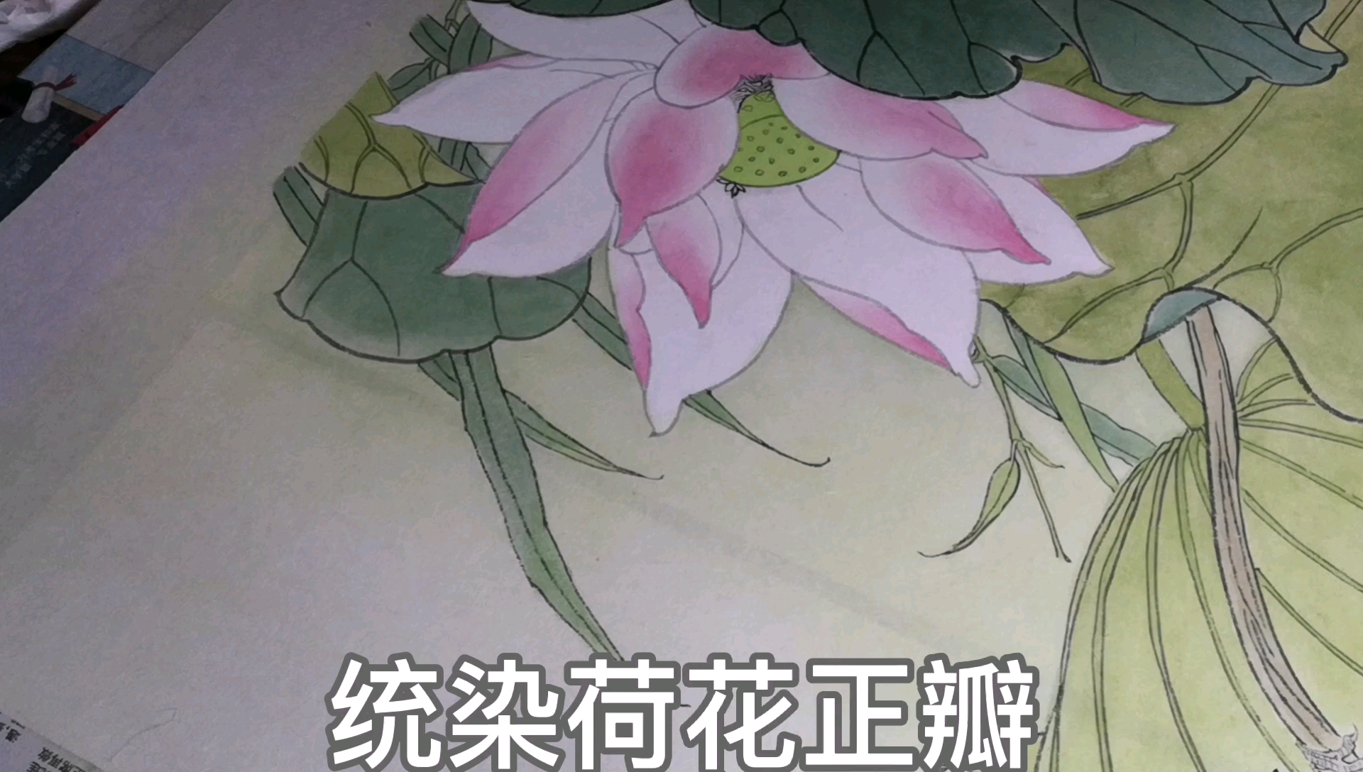 中国画工笔画荷花花瓣正瓣统染